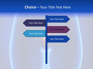 Pregnancy Torso Fallopian PowerPoint Template