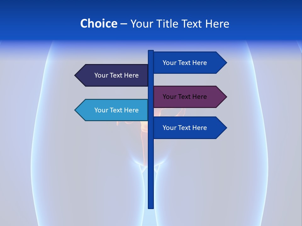 Pregnancy Torso Fallopian PowerPoint Template