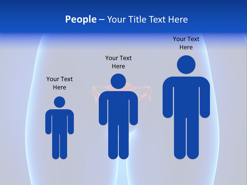 Pregnancy Torso Fallopian PowerPoint Template