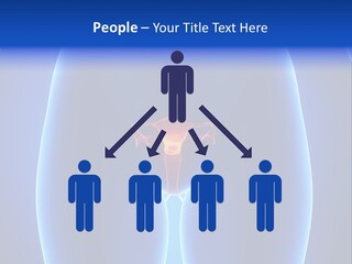 Pregnancy Torso Fallopian PowerPoint Template