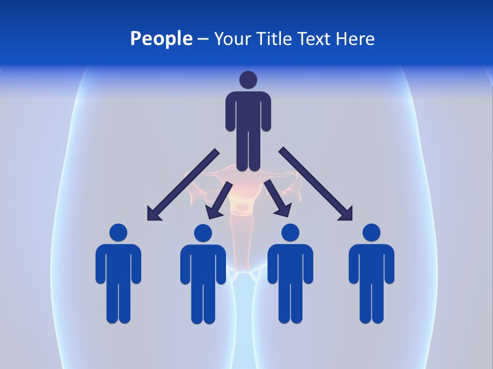 Pregnancy Torso Fallopian PowerPoint Template