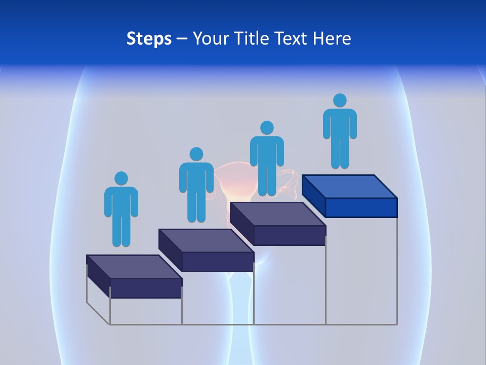 Pregnancy Torso Fallopian PowerPoint Template