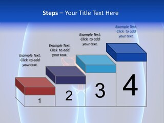 Pregnancy Torso Fallopian PowerPoint Template