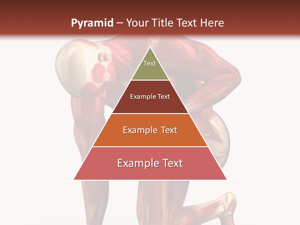Medical Healthy Health Care PowerPoint Template