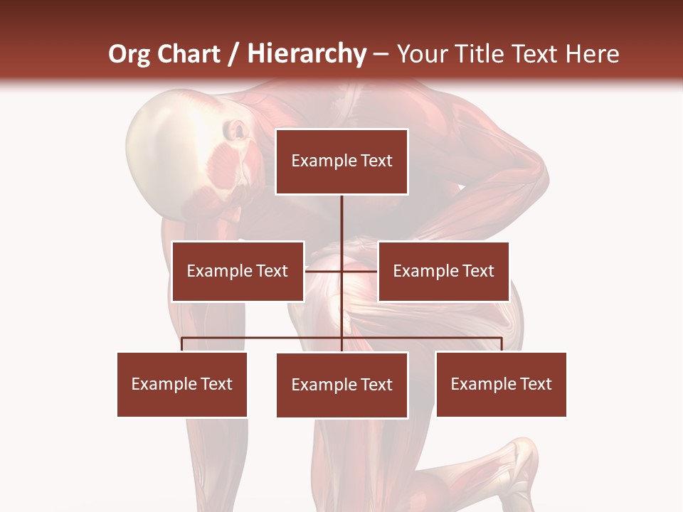 Medical Healthy Health Care PowerPoint Template