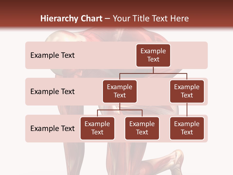 Medical Healthy Health Care PowerPoint Template