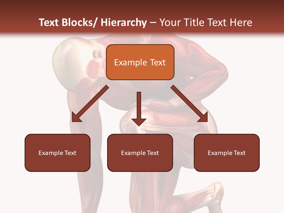 Medical Healthy Health Care PowerPoint Template