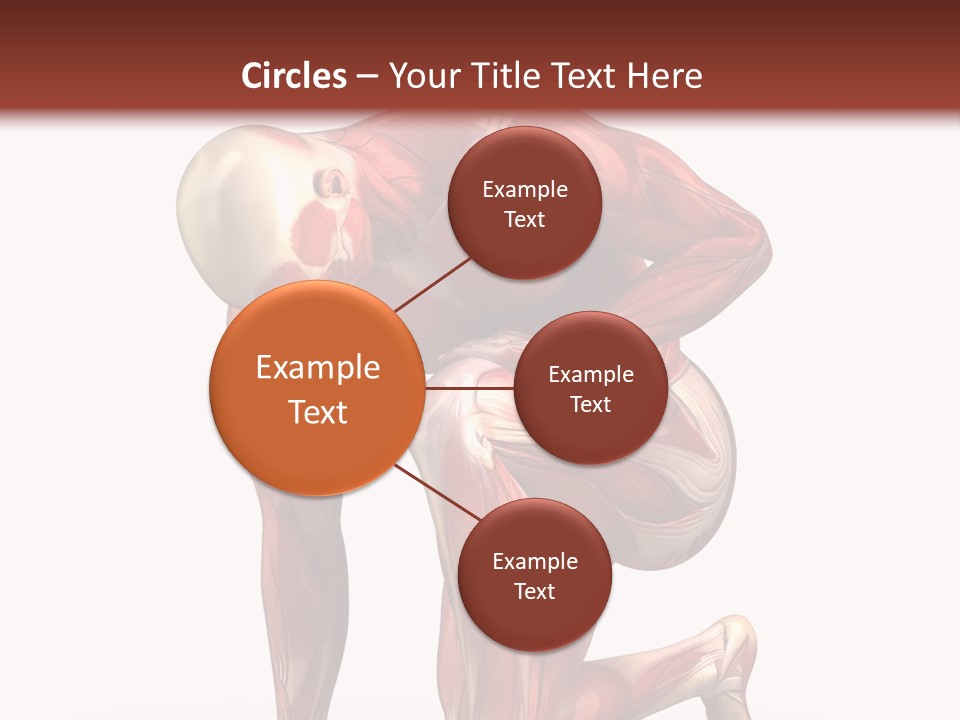 Medical Healthy Health Care PowerPoint Template