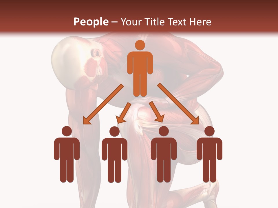 Medical Healthy Health Care PowerPoint Template