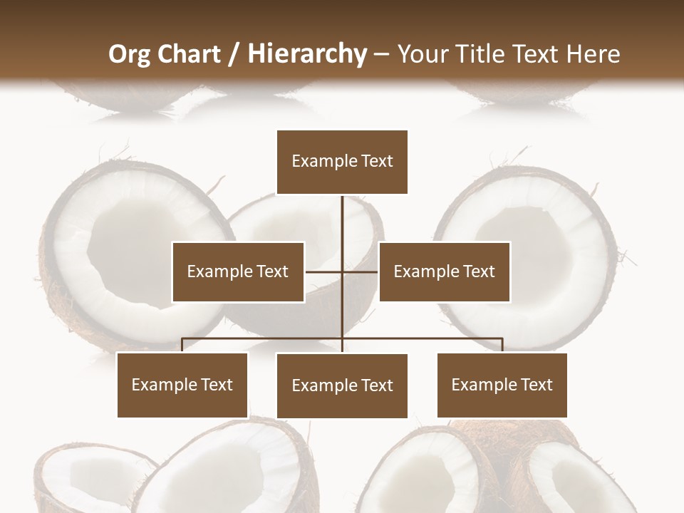 Photo Half Nature PowerPoint Template