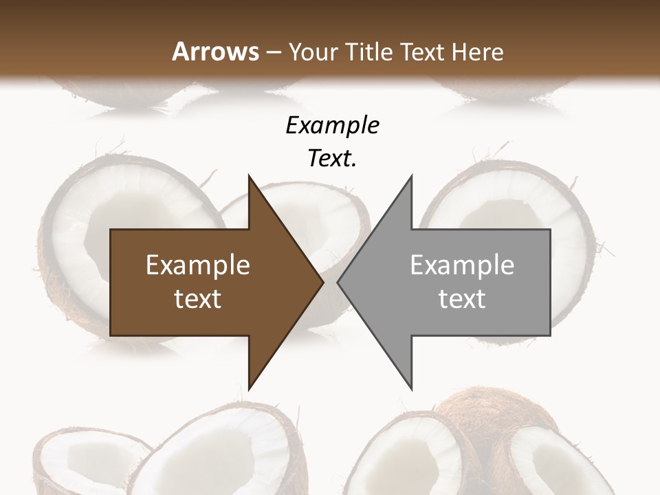 Photo Half Nature PowerPoint Template