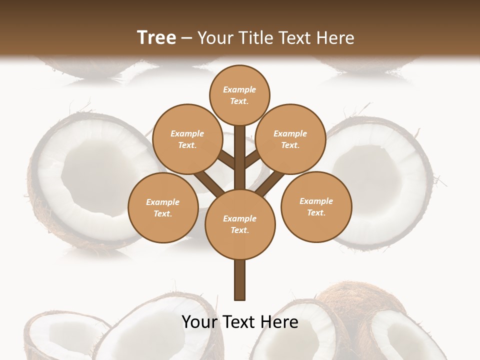 Photo Half Nature PowerPoint Template