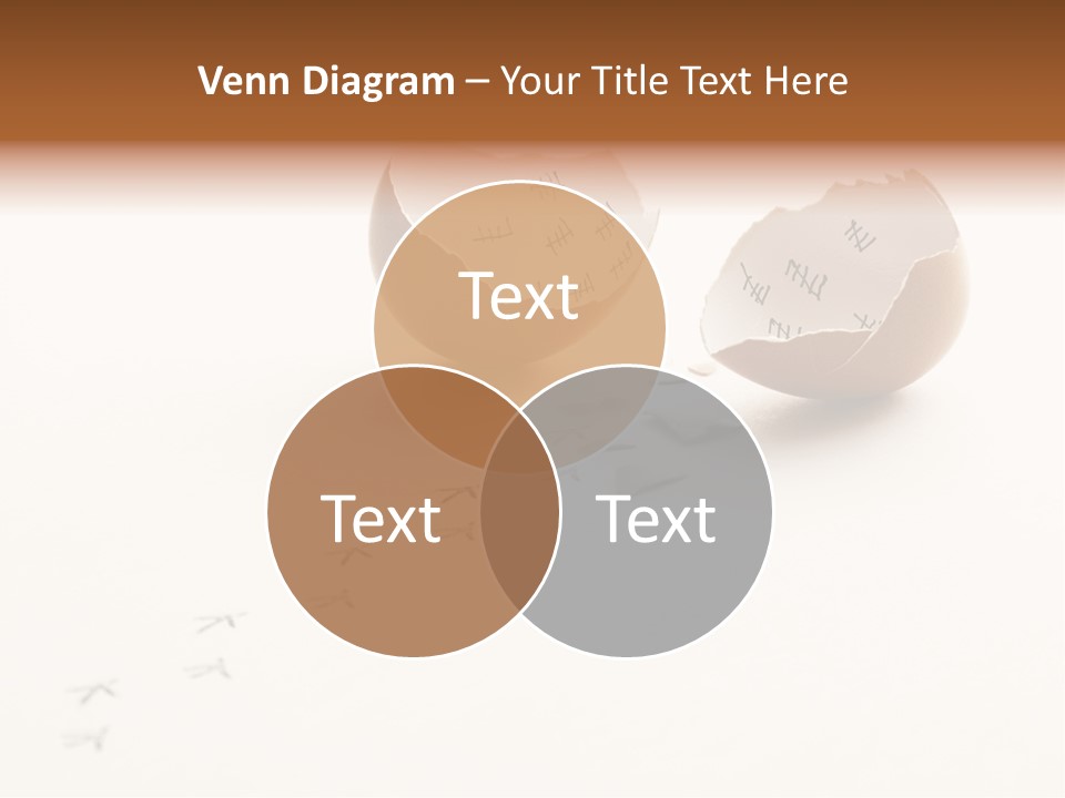 Free Beginning Concept PowerPoint Template