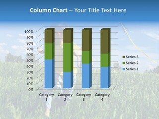 Nature Grass Outdoors PowerPoint Template