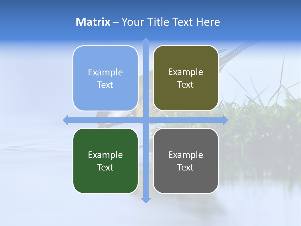 Thirsty Water Parus Major PowerPoint Template