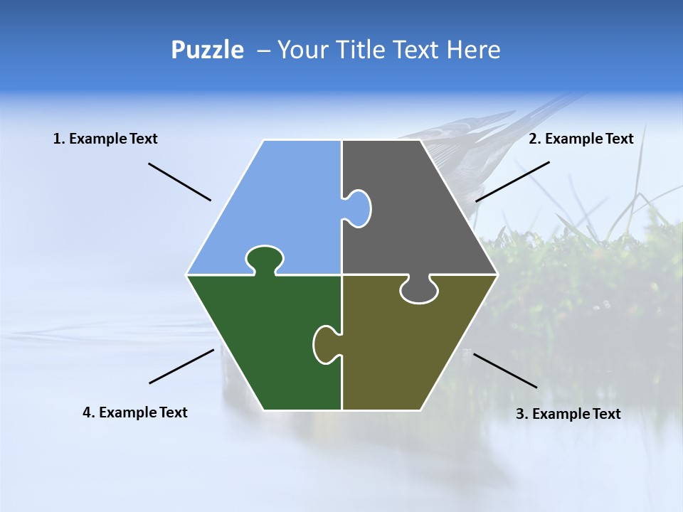 Thirsty Water Parus Major PowerPoint Template