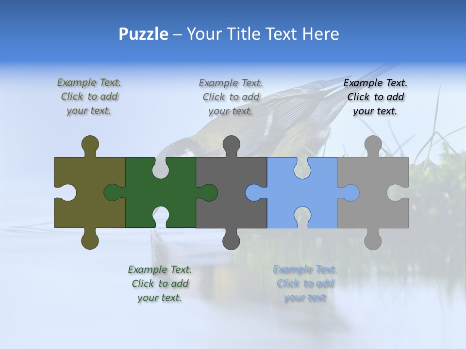 Thirsty Water Parus Major PowerPoint Template