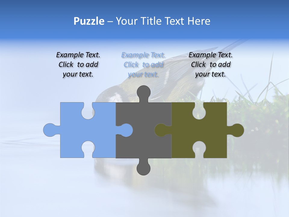 Thirsty Water Parus Major PowerPoint Template