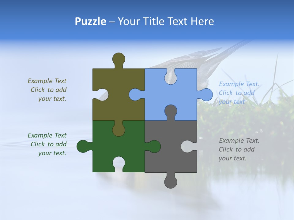 Thirsty Water Parus Major PowerPoint Template