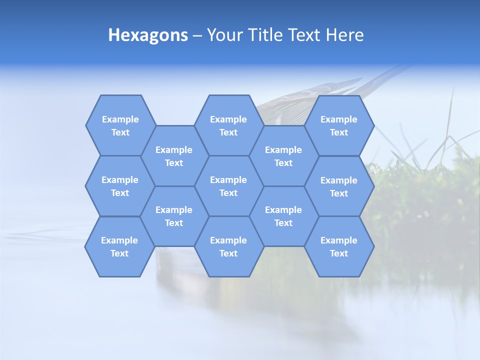 Thirsty Water Parus Major PowerPoint Template