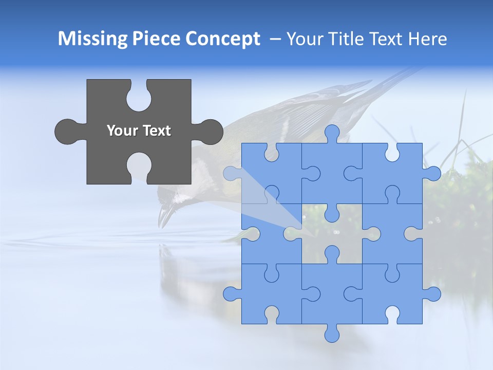 Thirsty Water Parus Major PowerPoint Template