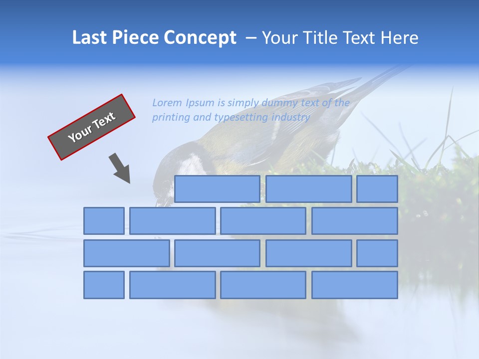 Thirsty Water Parus Major PowerPoint Template