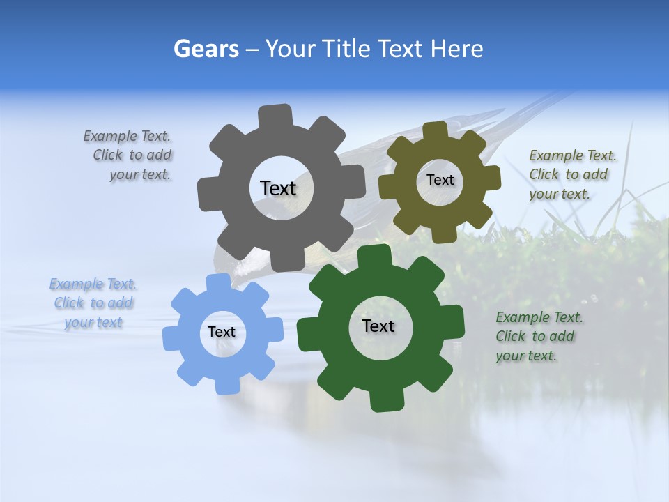 Thirsty Water Parus Major PowerPoint Template