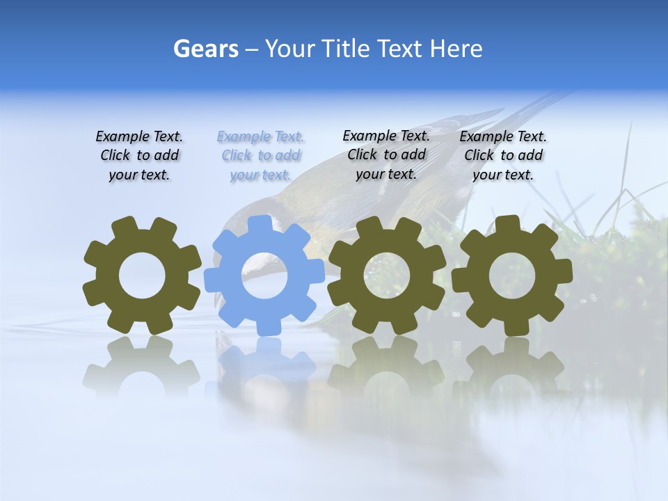 Thirsty Water Parus Major PowerPoint Template