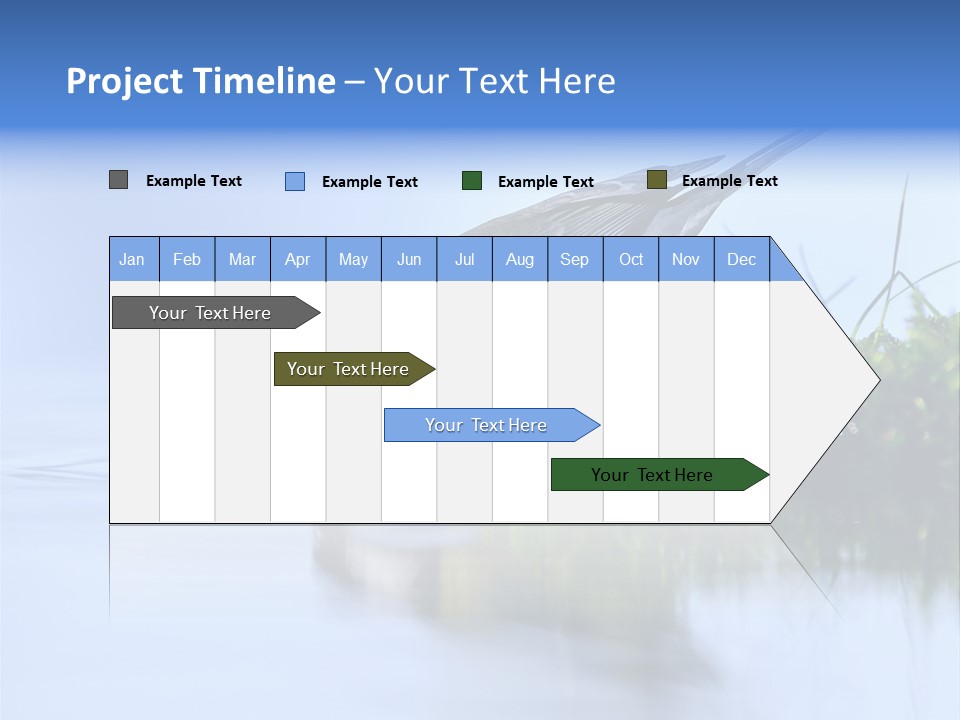 Thirsty Water Parus Major PowerPoint Template