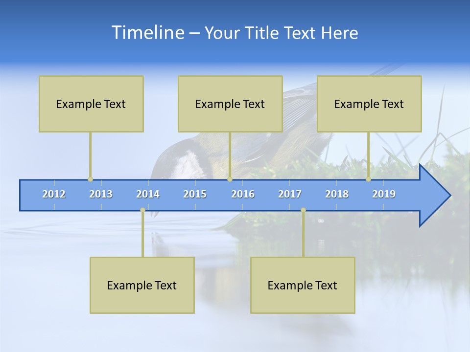 Thirsty Water Parus Major PowerPoint Template