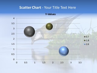 Thirsty Water Parus Major PowerPoint Template