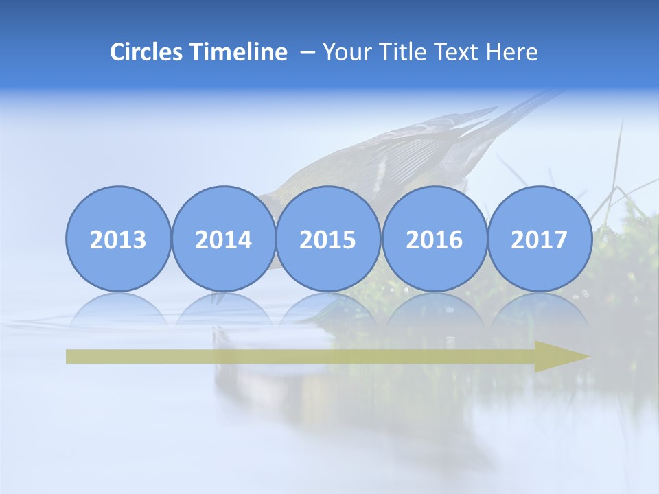 Thirsty Water Parus Major PowerPoint Template