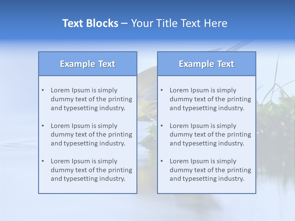 Thirsty Water Parus Major PowerPoint Template