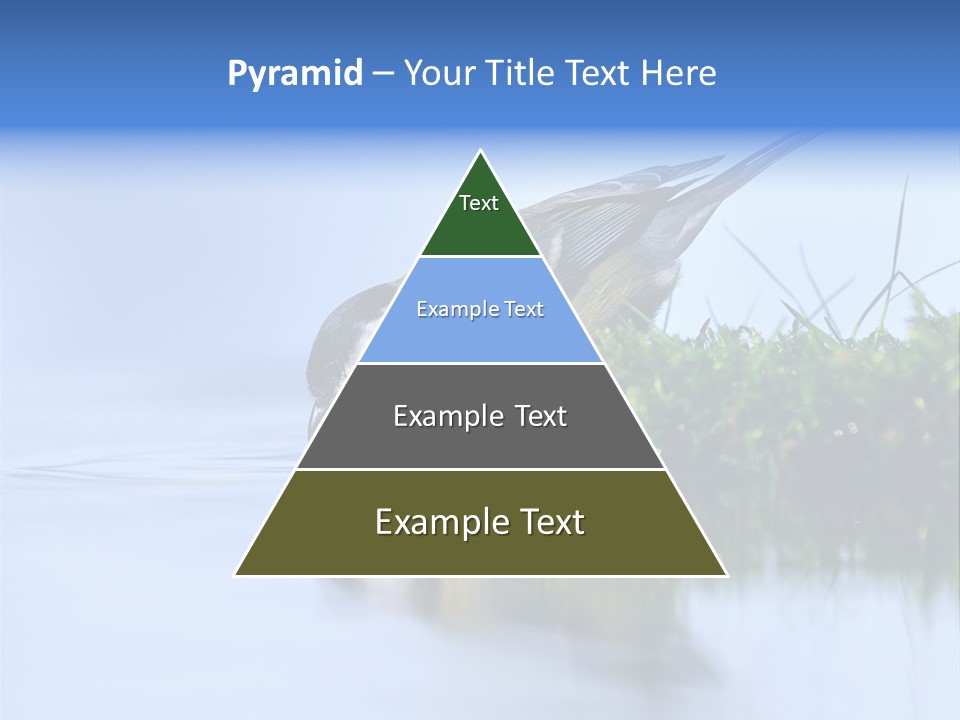 Thirsty Water Parus Major PowerPoint Template