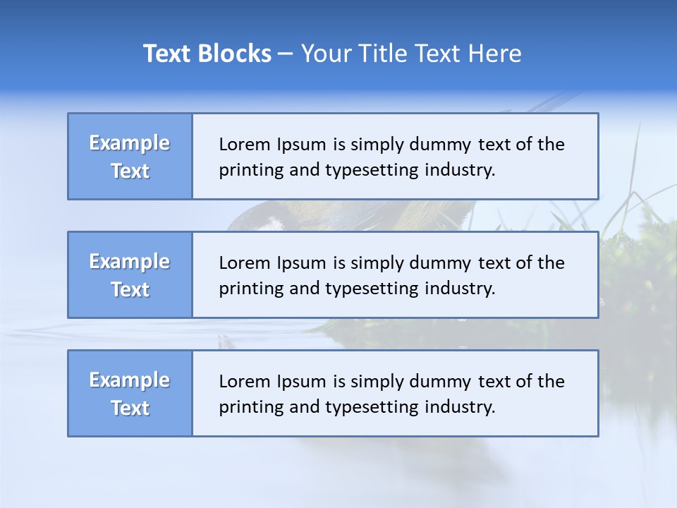 Thirsty Water Parus Major PowerPoint Template