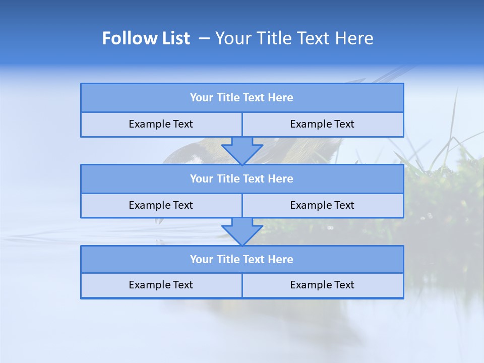 Thirsty Water Parus Major PowerPoint Template