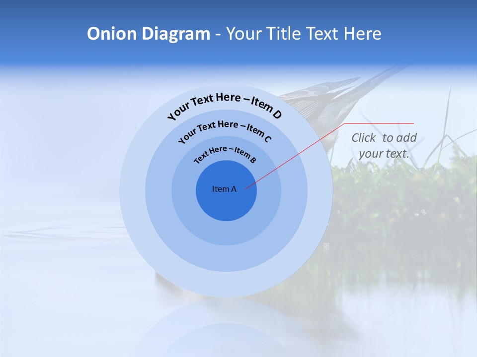 Thirsty Water Parus Major PowerPoint Template