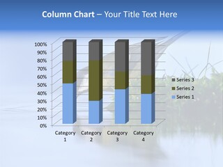 Thirsty Water Parus Major PowerPoint Template