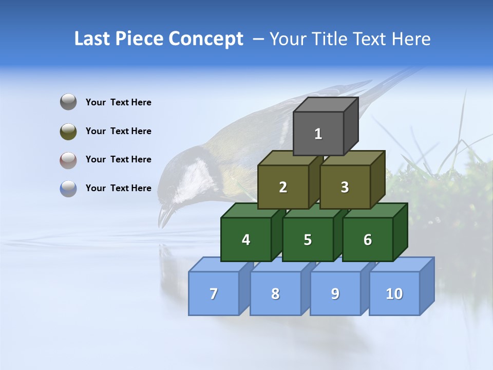 Thirsty Water Parus Major PowerPoint Template