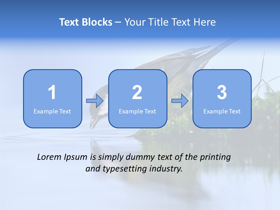 Thirsty Water Parus Major PowerPoint Template