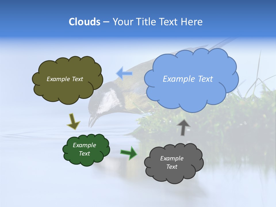 Thirsty Water Parus Major PowerPoint Template