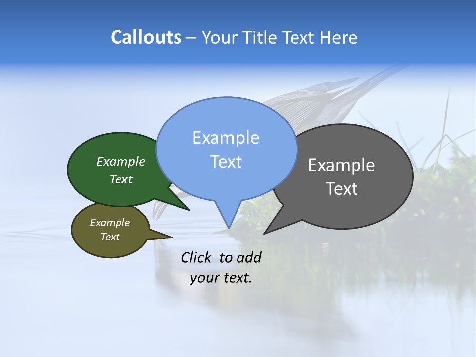 Thirsty Water Parus Major PowerPoint Template