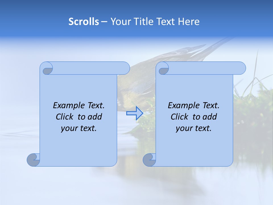 Thirsty Water Parus Major PowerPoint Template