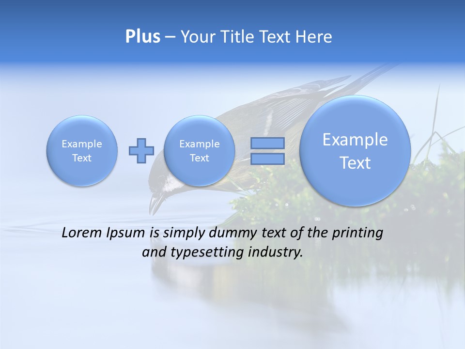 Thirsty Water Parus Major PowerPoint Template