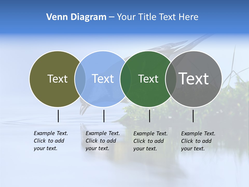Thirsty Water Parus Major PowerPoint Template