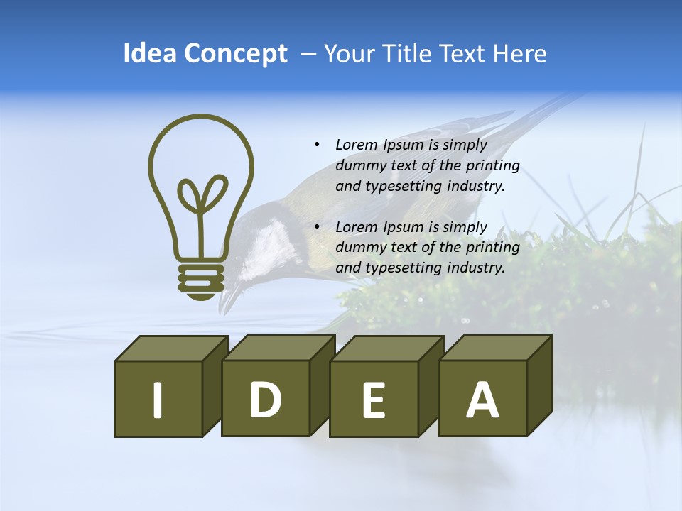 Thirsty Water Parus Major PowerPoint Template