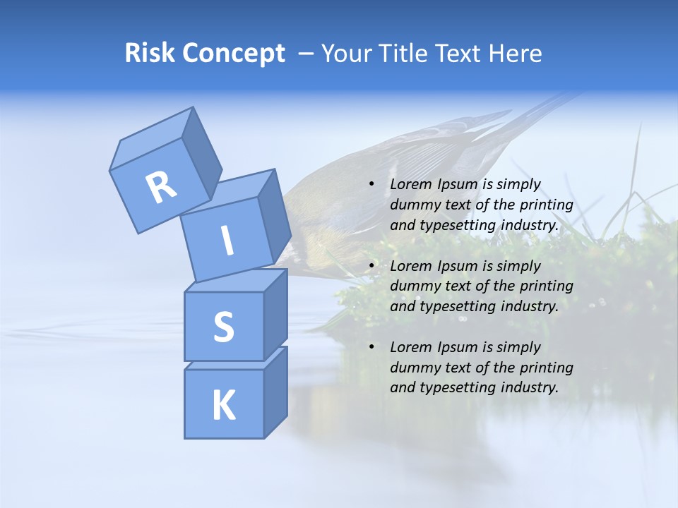 Thirsty Water Parus Major PowerPoint Template