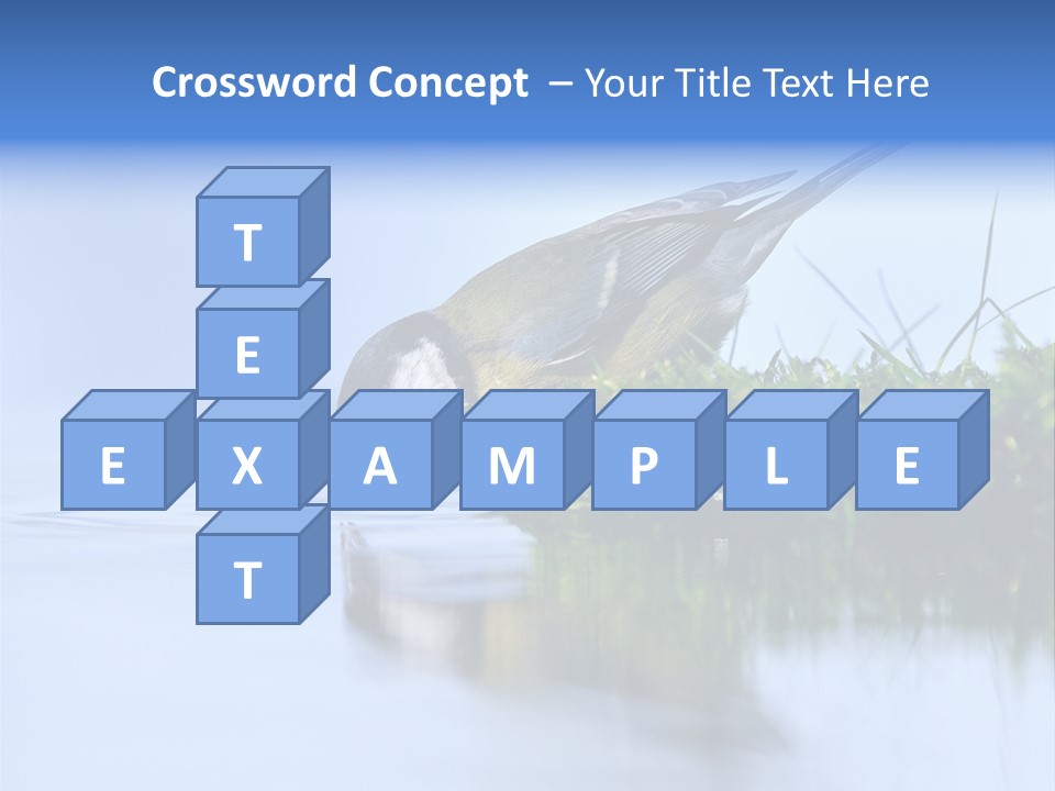 Thirsty Water Parus Major PowerPoint Template