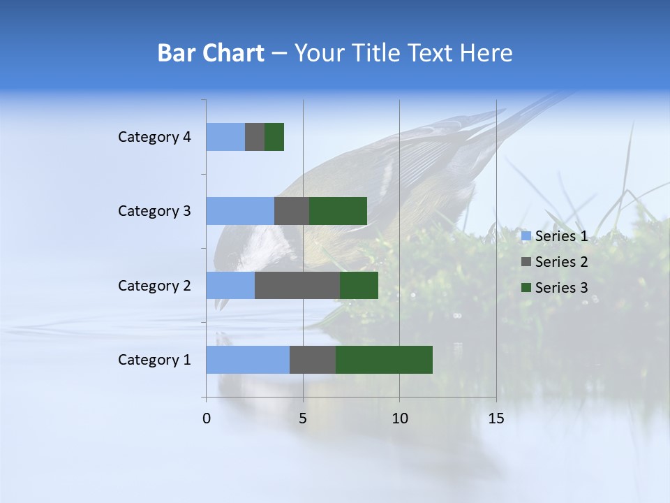 Thirsty Water Parus Major PowerPoint Template