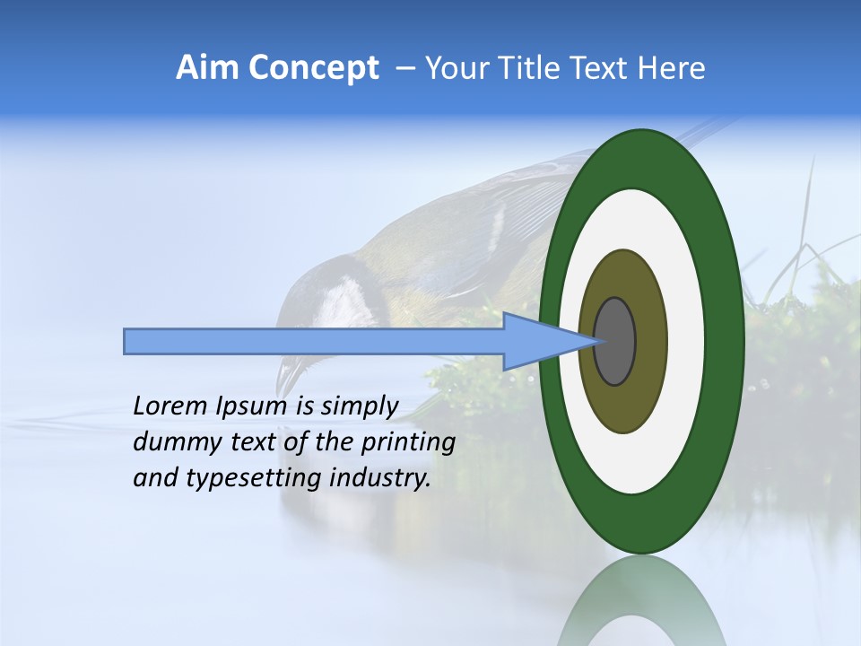 Thirsty Water Parus Major PowerPoint Template